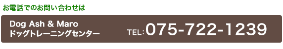 Dog Ash&Maro �h�b�O�g���[�j���O�Z���^�[075-722-1239